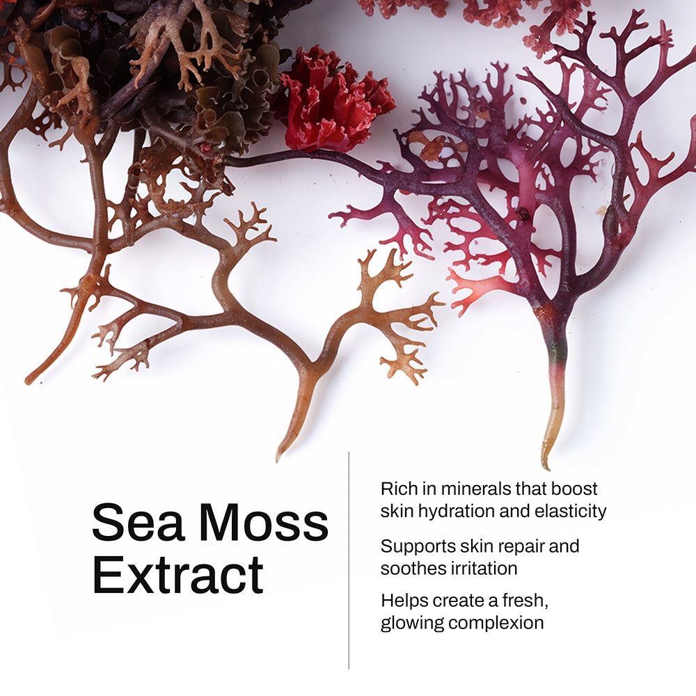 Essence of Nourishment